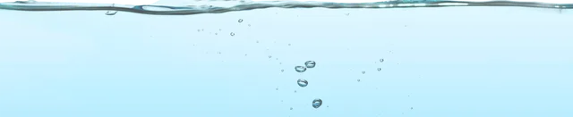 Blue Whale — INFINITEPIXELS work